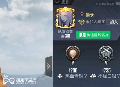 和平精英辅助软件详细评测:哪款值得信赖?