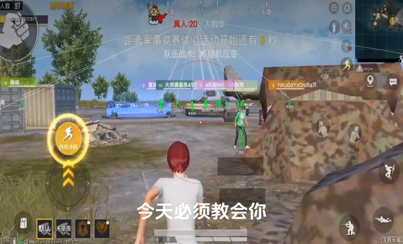 和平精英辅助【保时捷】